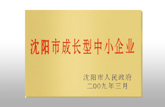 沈阳市成长型中小企业